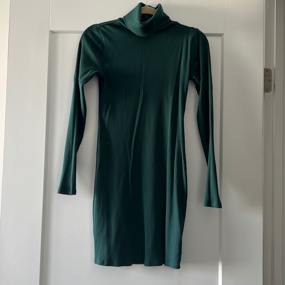 Wild Fable Green Turtleneck Dress